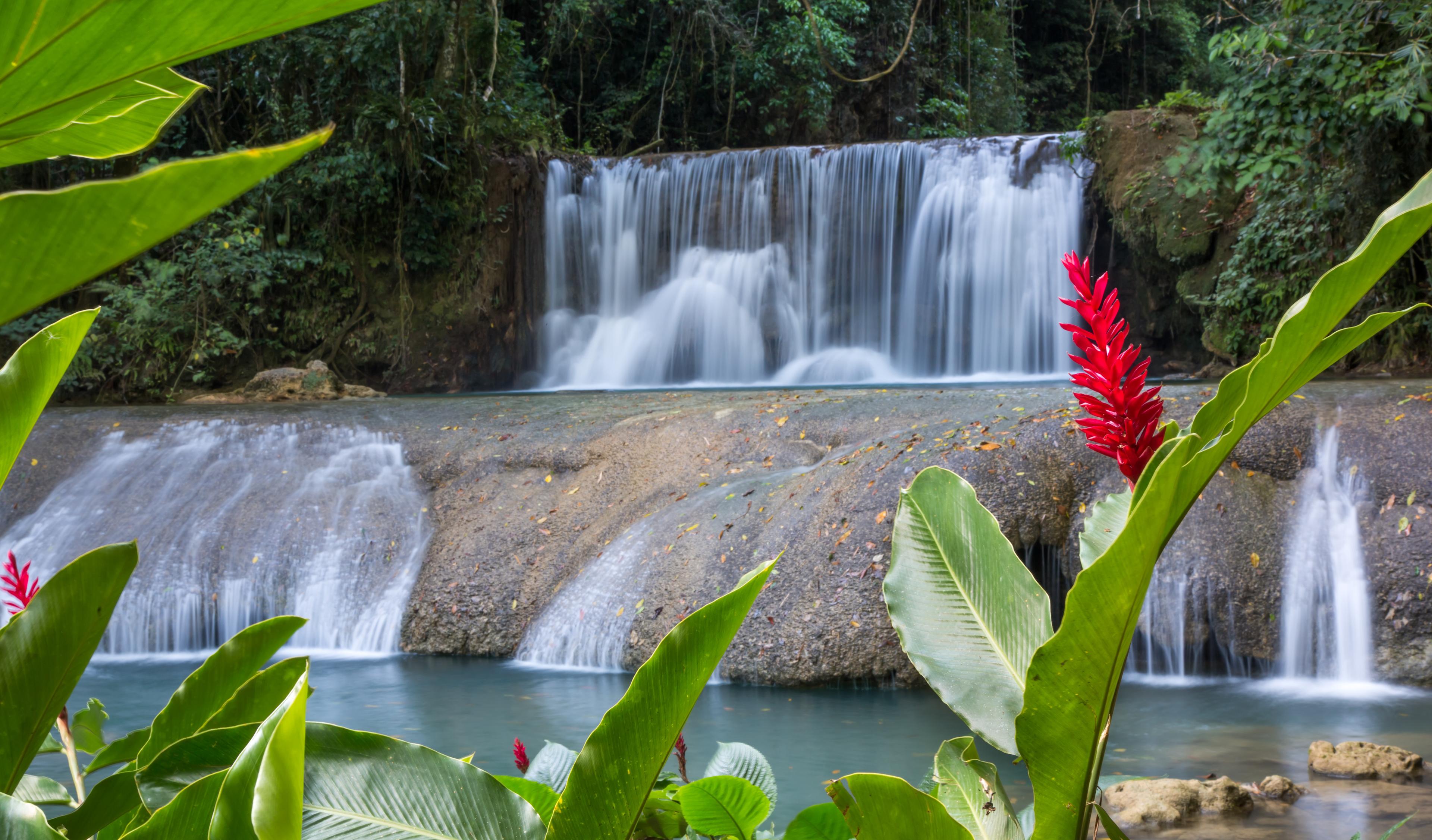 Lovely cascading waterfalls in the tropical island of Jamaica