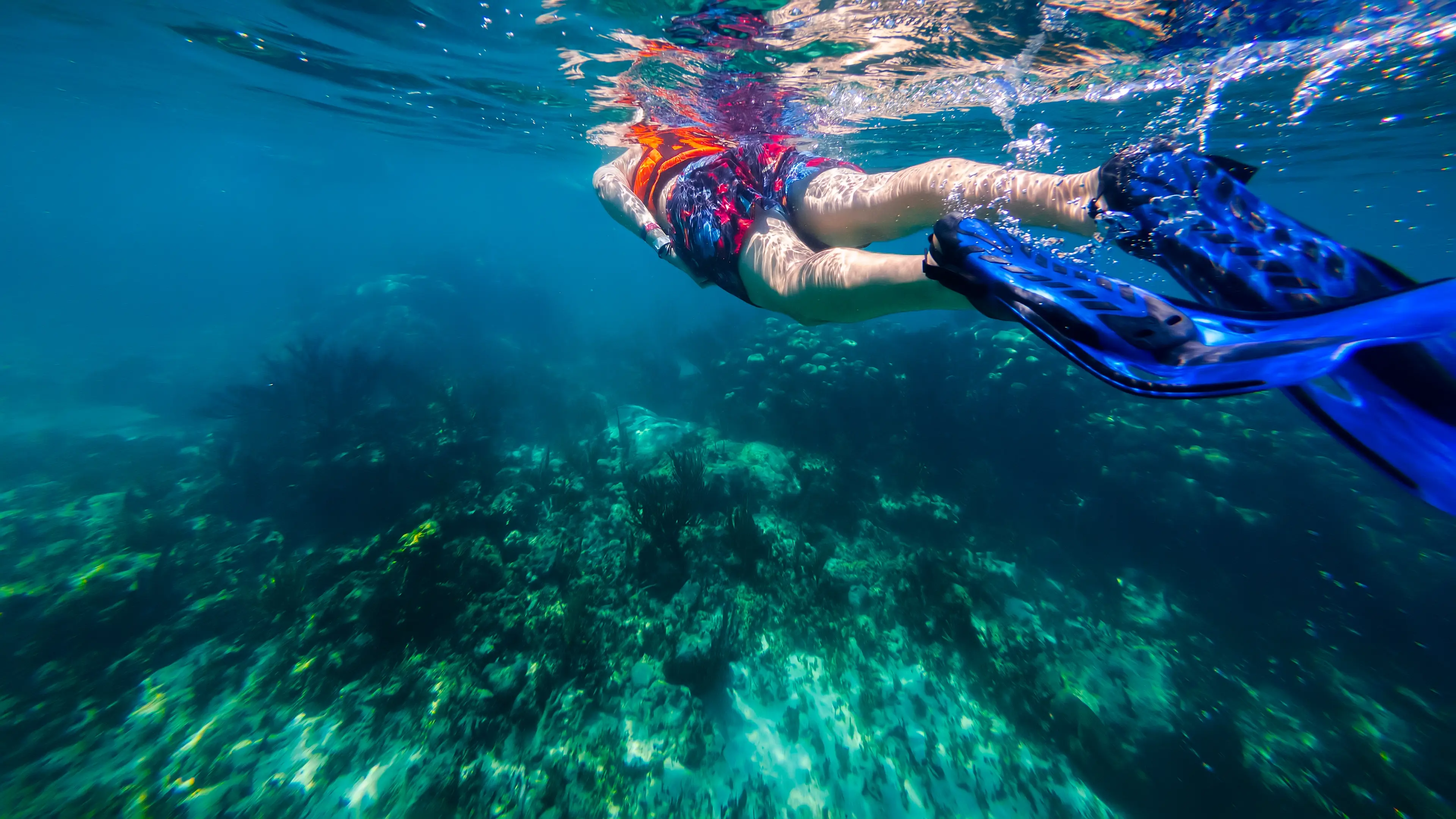 An underwater view of a swimmer snorkeling along the water's surface.